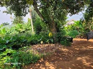 A picture of bunga kawuku 72decimals good for apertment residental home Developed neighborhood