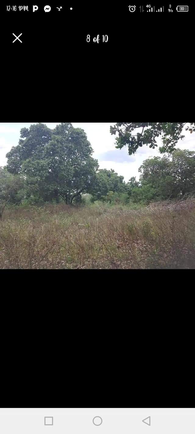 A picture of SHAMBA ZURI HEKA 5 LINAUZWA LIPO MZENGA ZEGERO KARIBU NA