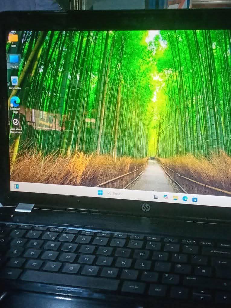 A picture of Hp AMD processor speed 2.90GHz quick money needed