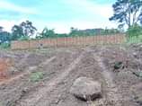 A picture of NEW SITE NOW OPEN 50x100FT with landtitle Located matugga Rwemwedde