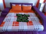 A picture of Fitted bedsheets Mix Match 100 Cotton Till no. 664059 All