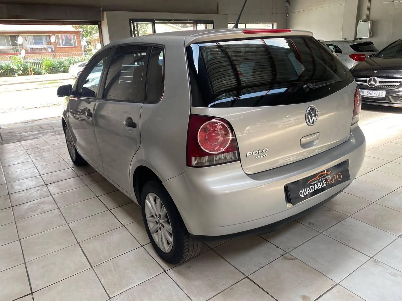 polo vivo