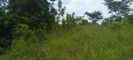 A picture of Land 5arces