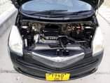 A picture of Toyota lactis