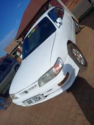 A picture of 7 5m 0703704731
