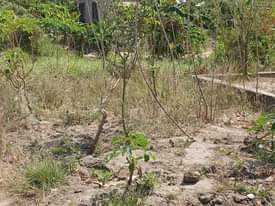 A picture of Kiwanja madale mbopo