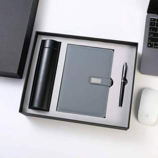 A picture of Temperature flask Diary Pen Gift