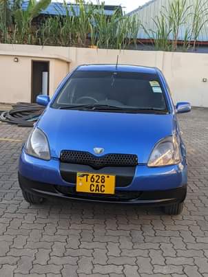 A picture of Vitz
