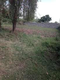 A picture of House and Land for sale