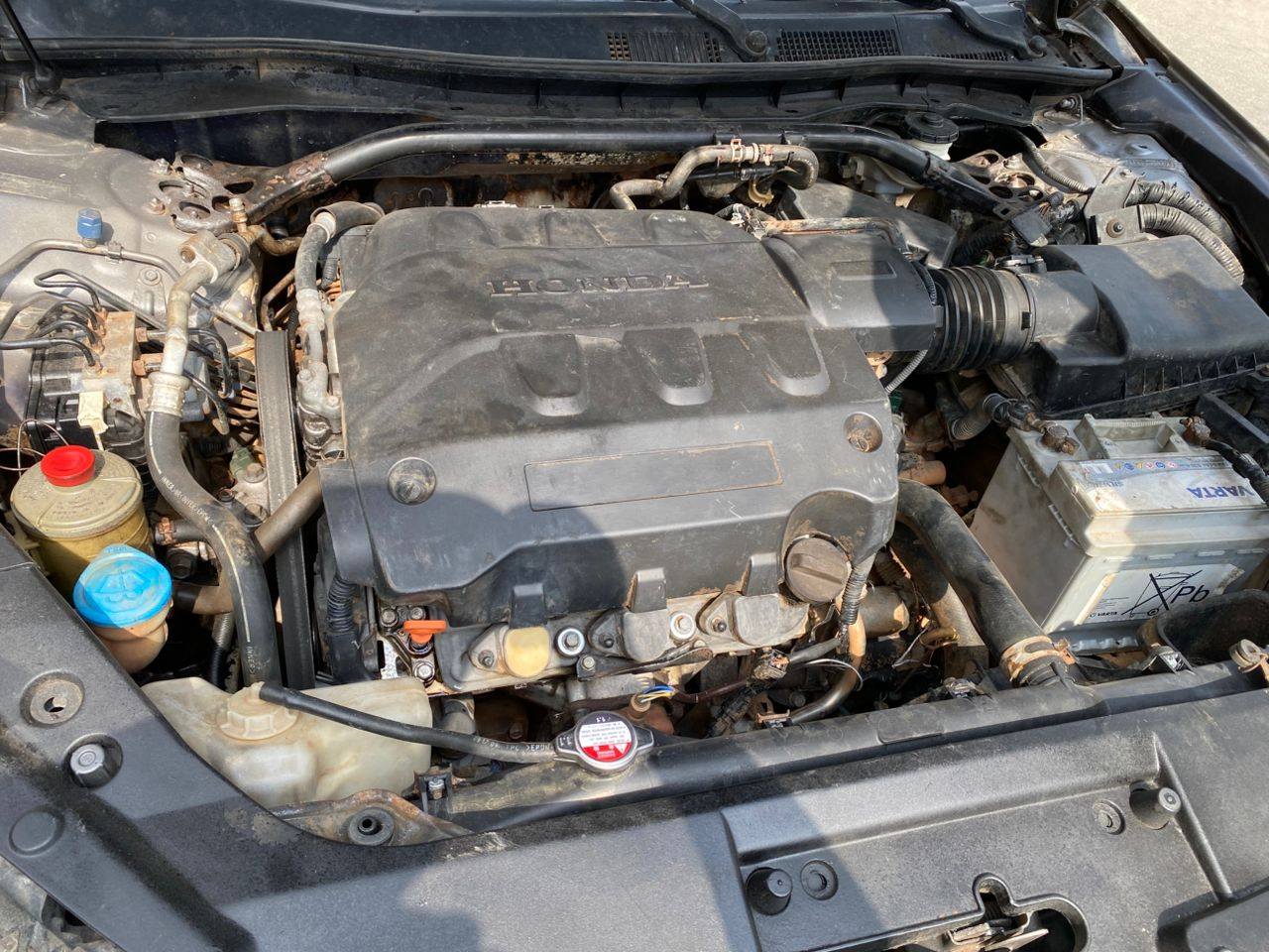 A picture of 2010 crosstour