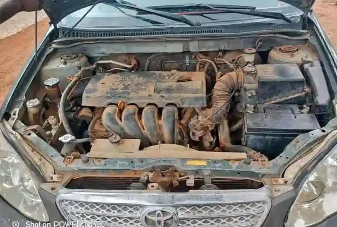 A picture of 2003 Toyota 2004