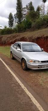 Danney M.