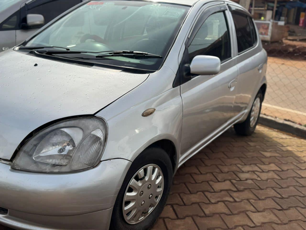 A picture of Vitz