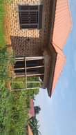 A picture of 27m House on sale located wakiso kavumba selling price 27