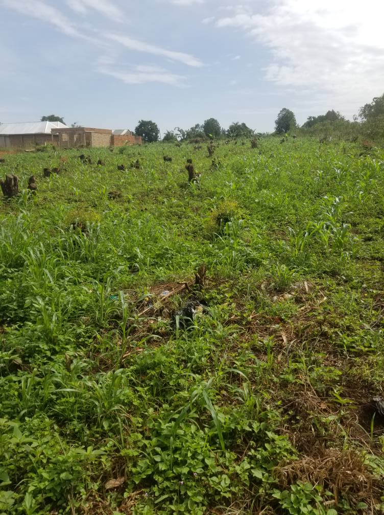 A picture of 1 acre title land