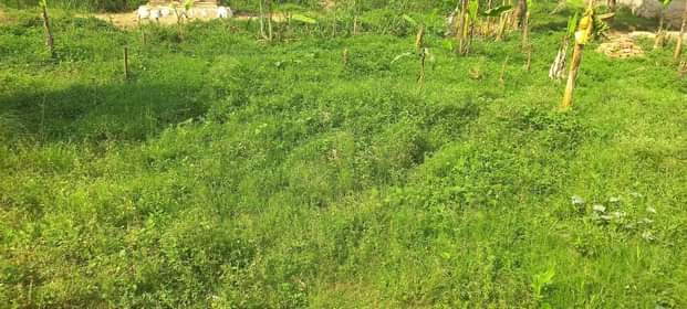 A picture of Land