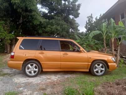 Bago C.