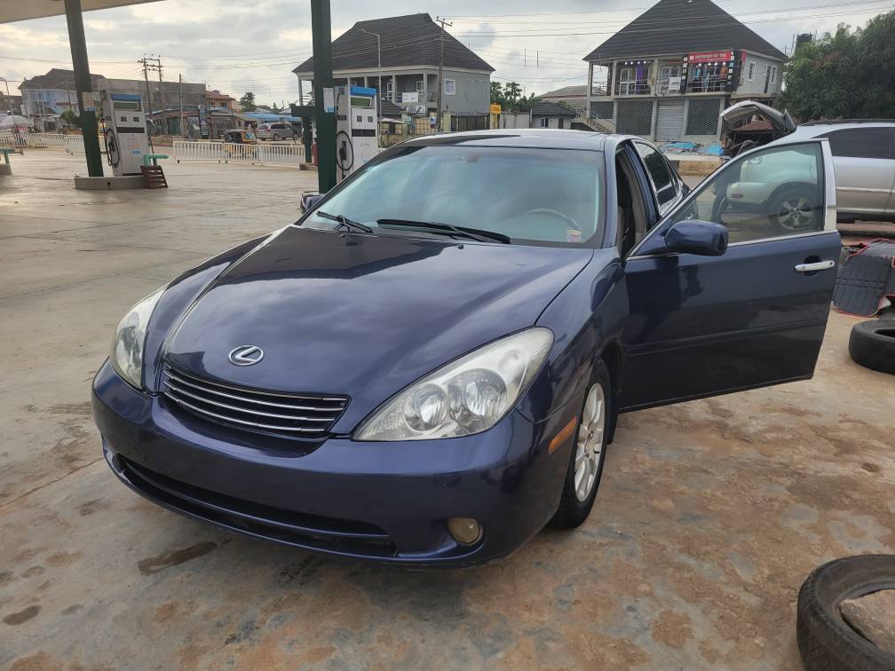 A picture of Neatly used Lexus 2004 model