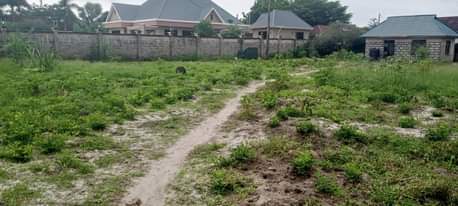 A picture of Eneo linauzwa