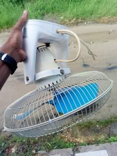 fans