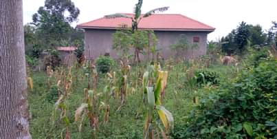 A picture of PLOTS On SALE AT WAKISO MABOMBWE BRAND NEW ESTATE