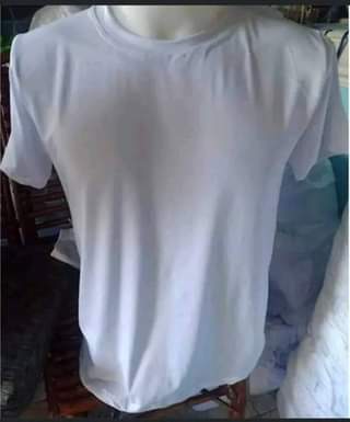 A picture of T shirt plain