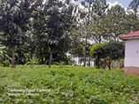 A picture of Gayaza kijabijo house on urgent sale