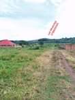 A picture of COMMERCIAL AND RESIDENTIAL PLOTS FOR SALE NEAR KAMPALA