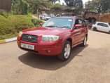 A picture of Forester 2006