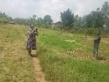 A picture of Land