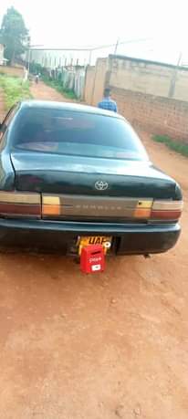 A picture of 1999 Toyota Toyota Corolla