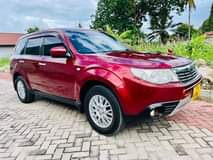 A picture of Forester