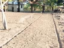 A picture of Viwanja vinauzwa chanika zingiziwa milioni 1 7