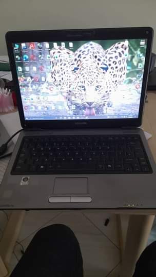 toshiba laptops
