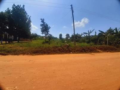 A picture of 50 100ft titled plots at wakiso Bukalango touching amain murram
