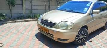 used toyota runx