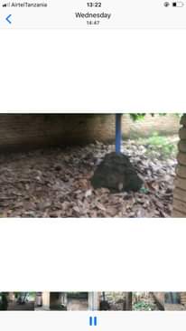 A picture of Kiwanja na nyumba