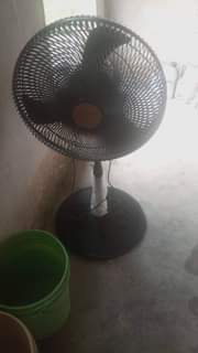 A picture of Fans