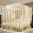 A picture of Net