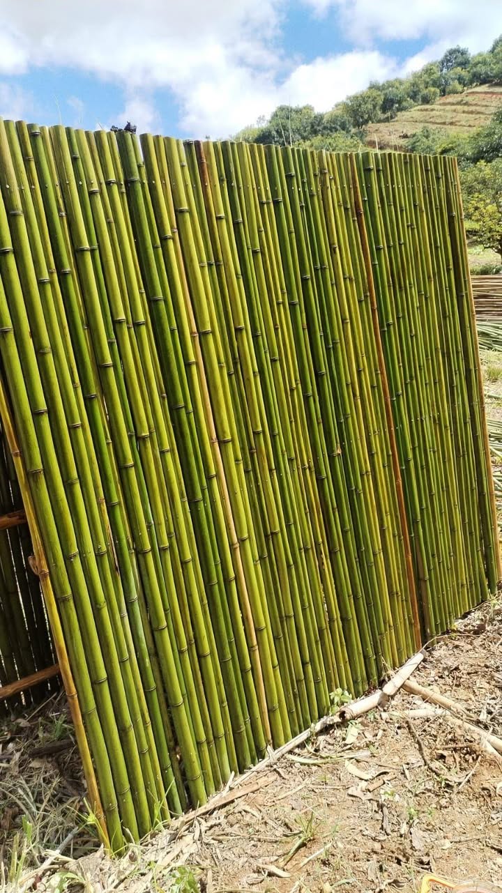 bamboo bed