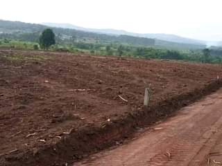 A picture of 7.5m Quick sale 10plot each 100by50ft with ready land title