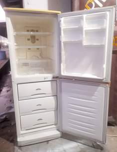 A picture of LG FRIDGE