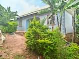 A picture of Matugga town house