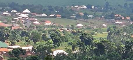 A picture of 0709106274 0774591471 TITLED PLOTS 50X100 FT WITH TITLE 7M UGX