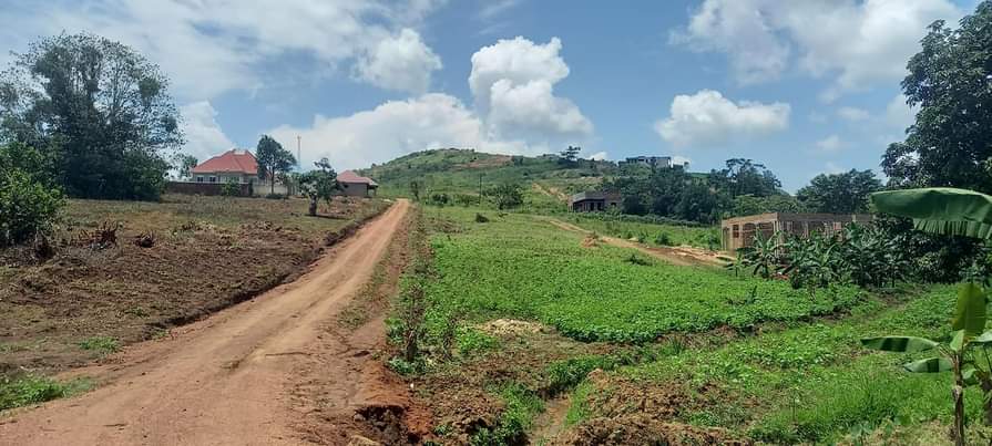 A picture of ESTATE GAYAAZA KIWENDA
