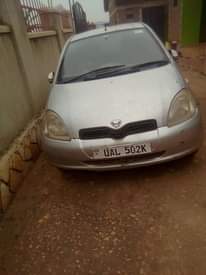 A picture of Vitz