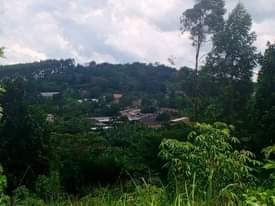 A picture of Gobero brand new estate 50x100ft 8m