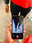 A picture of Iphone 13 pro max