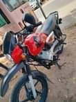 A picture of Pikpik used