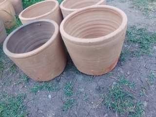 cookware